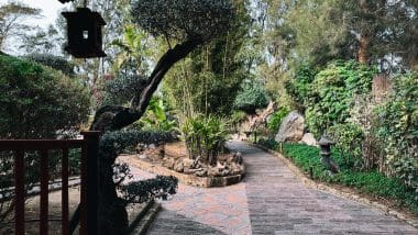 Ogród Botaniczny Molino Inca W Torremolinos