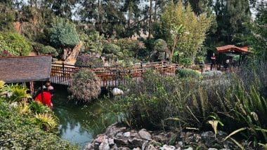 Ogród Botaniczny Molino Inca W Torremolinos