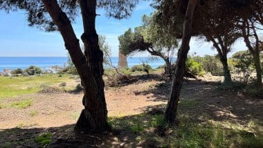 Najlepsza Plaża W Prowincji Malaga - Plaża Cabopino W Marbella